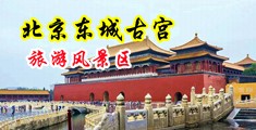 免费看激情操逼黄色中国北京-东城古宫旅游风景区